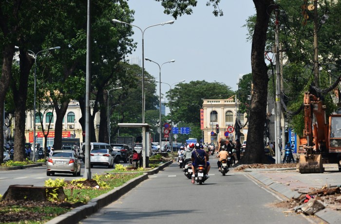 Đường Tôn Đức Thắng thay đổi bất ngờ sau khi hàng cổ thụ bị đốn hạ