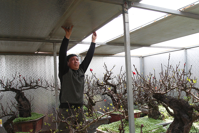 Đào Thất Thốn nằm phòng điều hoà chờ Tết