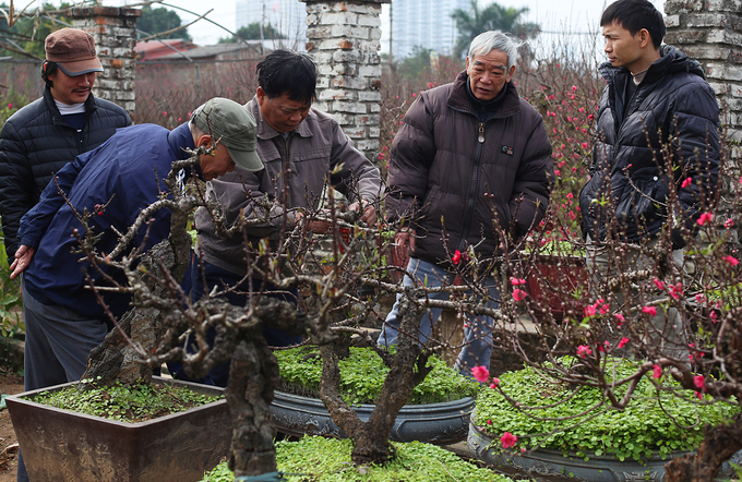 Đào Thất Thốn nằm phòng điều hoà chờ Tết
