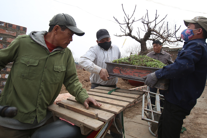 Đào Thất Thốn nằm phòng điều hoà chờ Tết