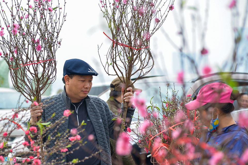 Mai vàng miền Nam bán sớm ở chợ hoa Tết Hà Nội