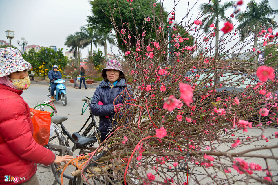 Mai vàng miền Nam bán sớm ở chợ hoa Tết Hà Nội