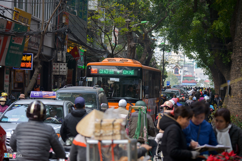 Mai vàng miền Nam bán sớm ở chợ hoa Tết Hà Nội