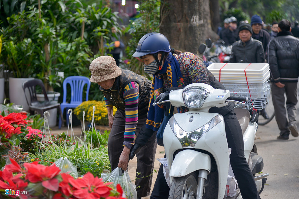 Mai vàng miền Nam bán sớm ở chợ hoa Tết Hà Nội