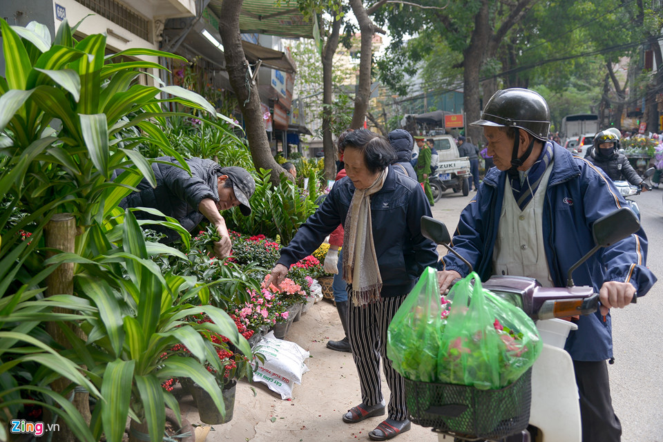 Mai vàng miền Nam bán sớm ở chợ hoa Tết Hà Nội