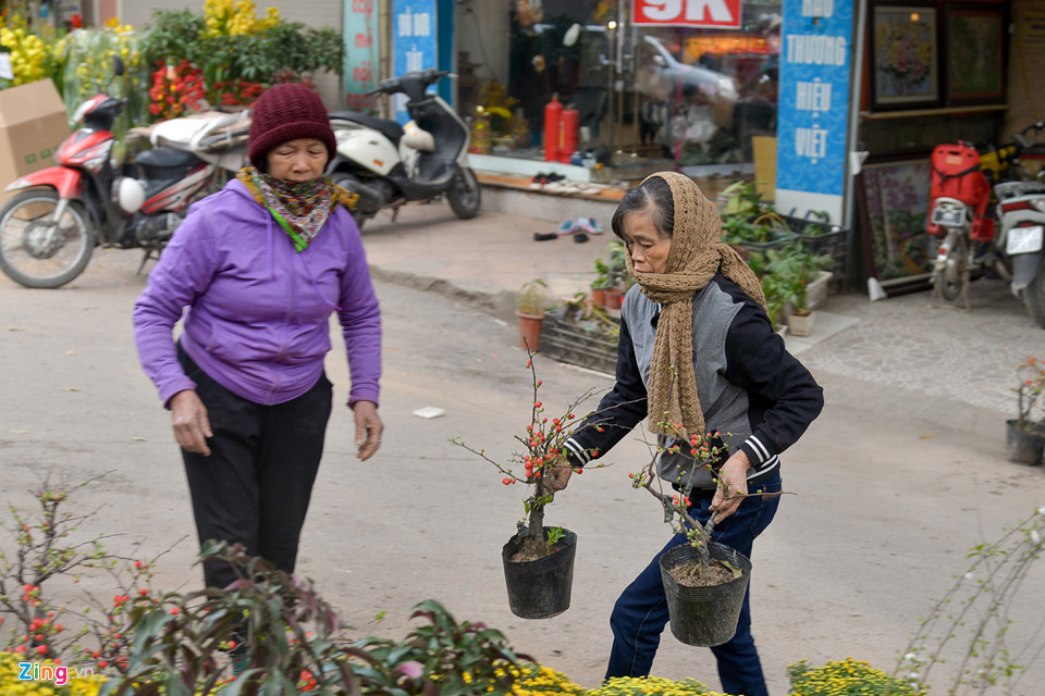 Mai vàng miền Nam bán sớm ở chợ hoa Tết Hà Nội