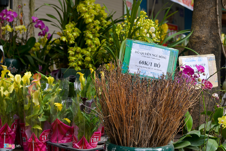 Mai vàng miền Nam bán sớm ở chợ hoa Tết Hà Nội