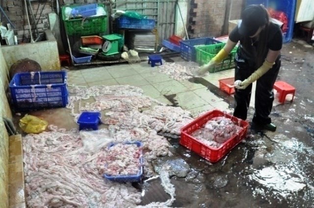 Thực phẩm tết: Hết hồn chả lụa, giò thủ làm từ thịt bẩn ào ra chợ