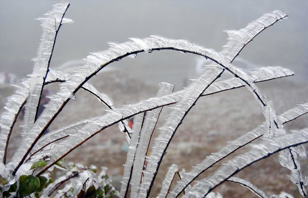 Dự báo thời tiết 6/2: Không khí lạnh có cường độ mạnh, miền Bắc nhiều nơi lạnh chạm kỷ lục