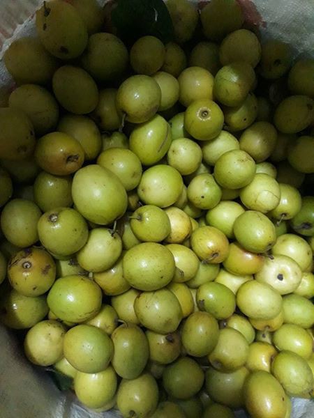 Cận Tết, dân công sở nhộn nhịp đi buôn đặc sản, mấy ngày cuối năm hốt bạc bằng cả tháng lương