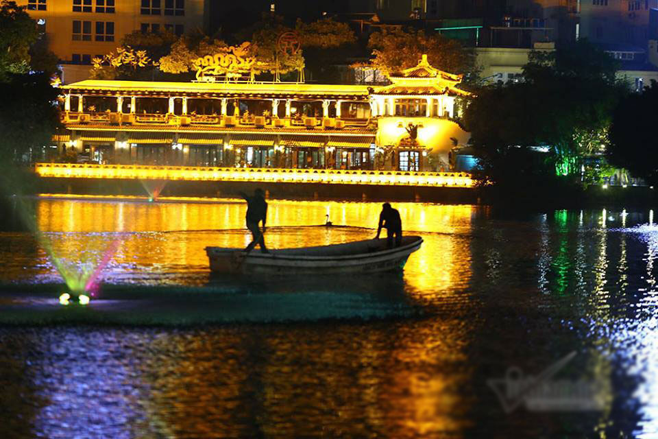 12 con thiên nga ở hồ Gươm bị bắt lại trong đêm