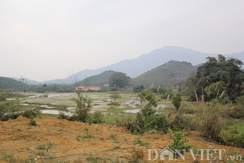 Cận cảnh nơi dự kiến sẽ xây nghĩa trang 1.400 tỷ cho cán bộ cấp cao