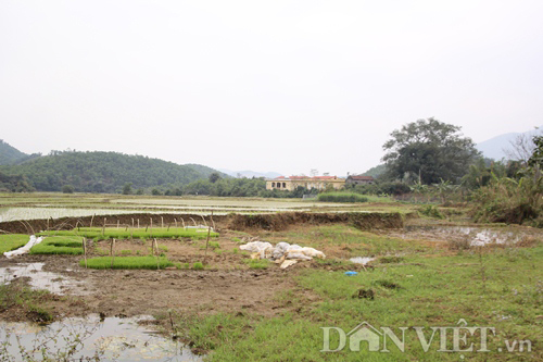 Cận cảnh nơi dự kiến sẽ xây nghĩa trang 1.400 tỷ cho cán bộ cấp cao