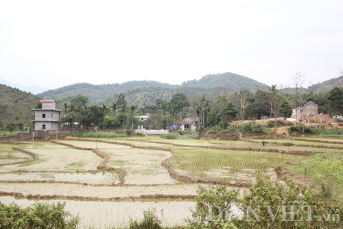 Cận cảnh nơi dự kiến sẽ xây nghĩa trang 1.400 tỷ cho cán bộ cấp cao