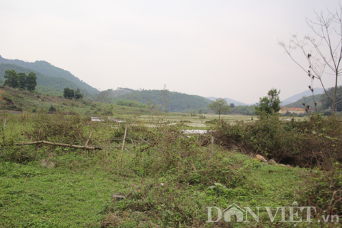 Cận cảnh nơi dự kiến sẽ xây nghĩa trang 1.400 tỷ cho cán bộ cấp cao