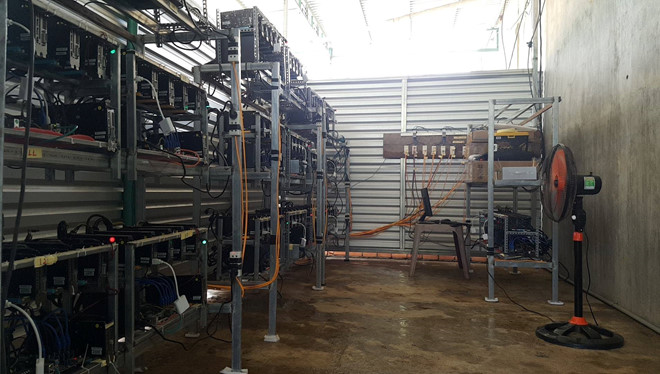 Dân đào coin Việt ồ ạt bán trâu ăn Tết