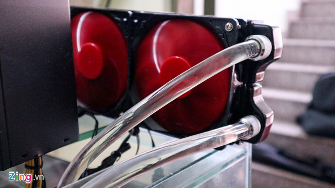 Dân đào coin Việt ồ ạt bán trâu ăn Tết