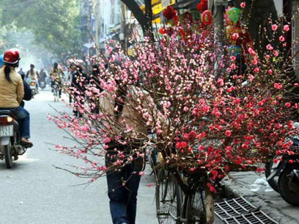 Dự báo thời tiết 7/2: Miền Bắc ấm dần, miền Nam lạnh 17 độ