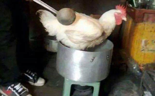 Cười ra nước mắt với lý do ế muôn đời của cư dân mạng