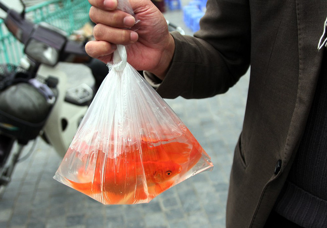 Hà Nội: Sợ đông đúc nhiều gia đình tiễn Táo Quân về trời sớm