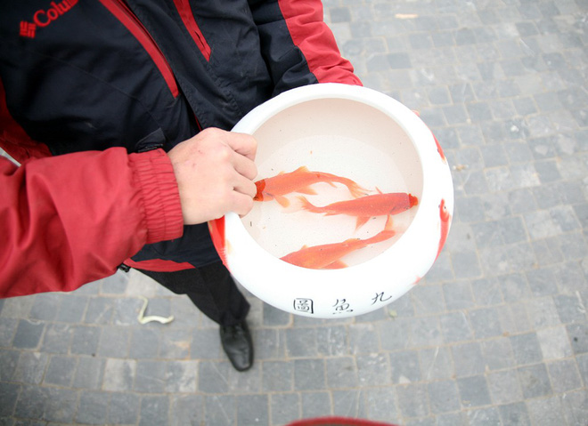 Hà Nội: Sợ đông đúc nhiều gia đình tiễn Táo Quân về trời sớm