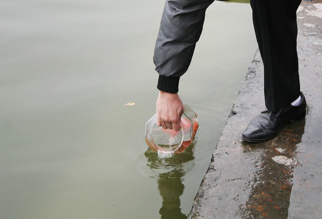 Hà Nội: Sợ đông đúc nhiều gia đình tiễn Táo Quân về trời sớm