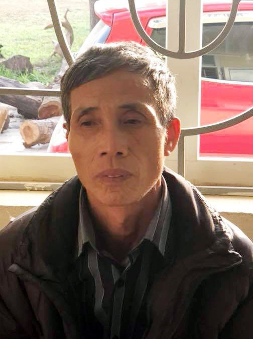 Kẻ hủy hoại 400 gốc quất cảnh lãnh án 30 tháng tù