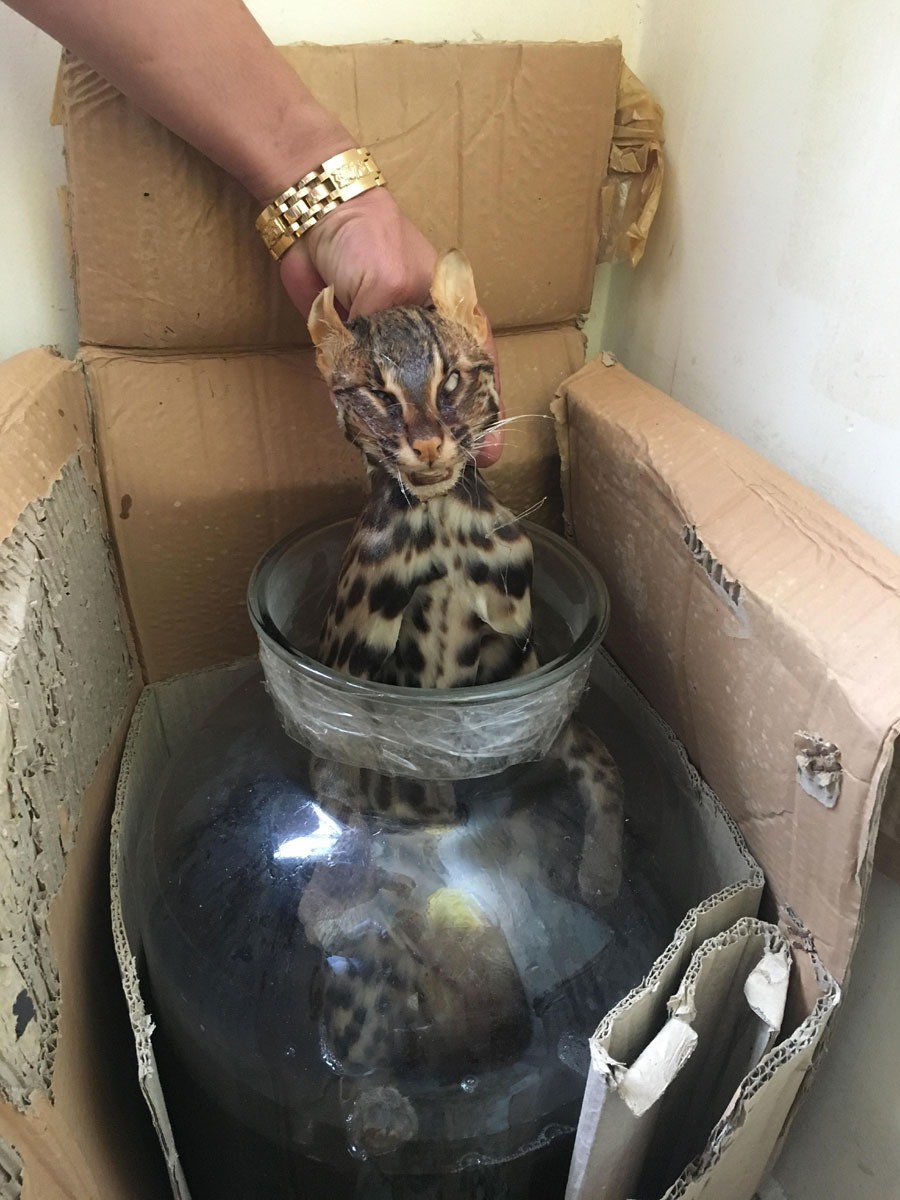 Mua ông ba mươi thật trong... thế giới ảo