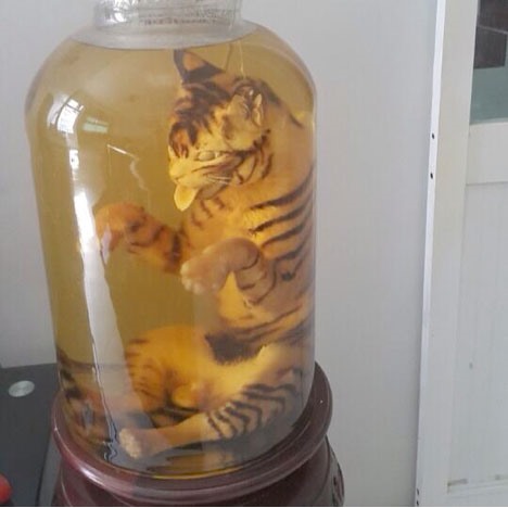 Mua ông ba mươi thật trong... thế giới ảo