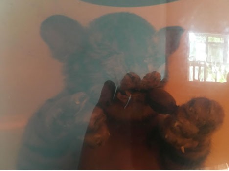 Mua ông ba mươi thật trong... thế giới ảo