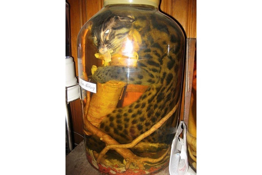 Mua ông ba mươi thật trong... thế giới ảo