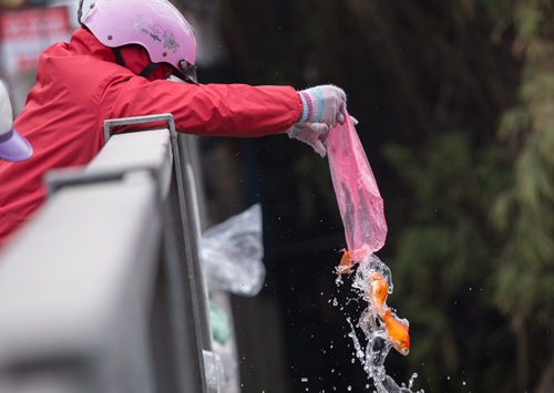 Muôn kiểu thả cá chép ngày ông Táo của người dân Hà Nội