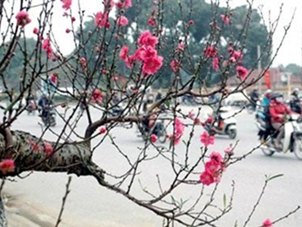 Đón không khí lạnh dịp cận Tết, miền Bắc rét đậm, rét hại