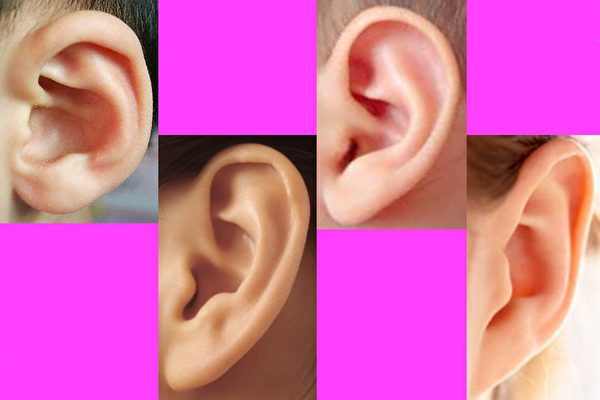 Đoán vận mệnh của đời người qua tướng tai Đoán vận mệnh của đời người qua tướng tai