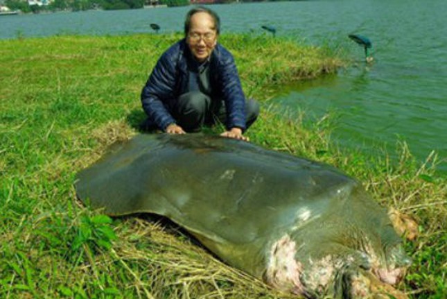 PGS Hà Đình Đức: Họ bảo tôi không làm gì cho Hồ Gươm, khiến rùa chết còn bảo thủ