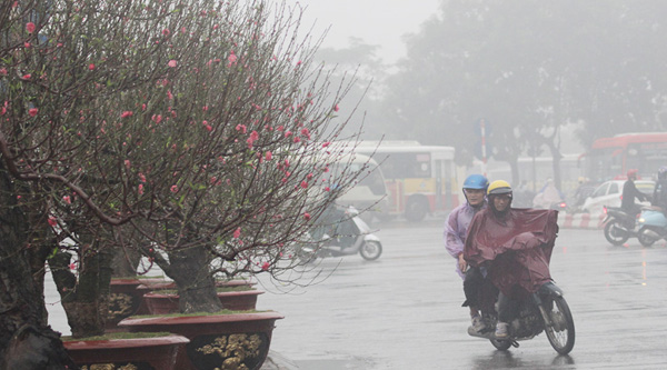 Dự báo thời tiết 10/2: Hạ 6 độ, miền Bắc chuyển rét đậm kèm mưa