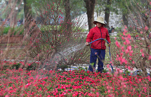 Đón không khí lạnh, miền Bắc lại rét đậm