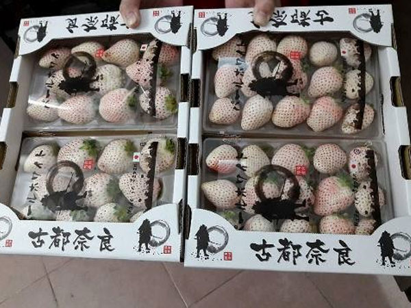 Gần triệu đồng một hộp dâu Bạch tuyết 15 quả biếu Tết