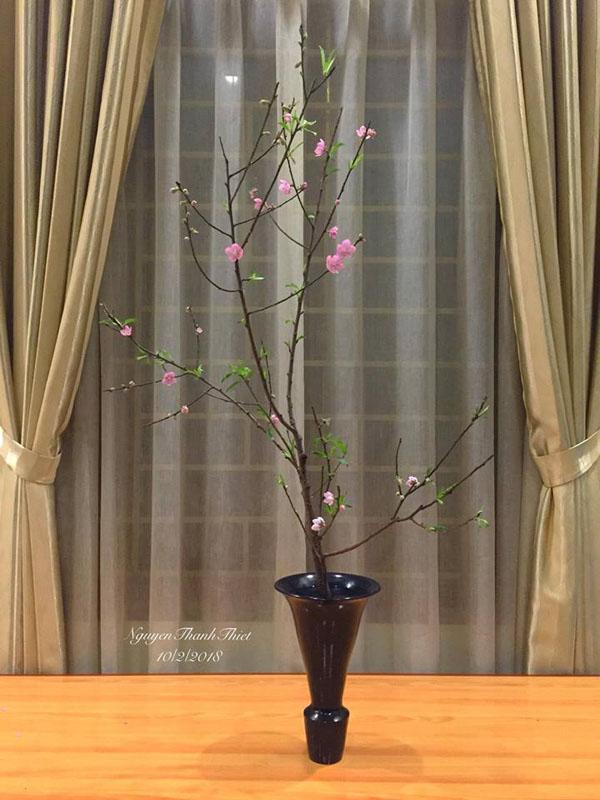 Bất ngờ với những cành đào chỉ 10.000 đồng được chị em cắm sáng tạo mà đẹp lạ
