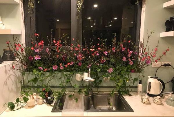 Bất ngờ với những cành đào chỉ 10.000 đồng được chị em cắm sáng tạo mà đẹp lạ