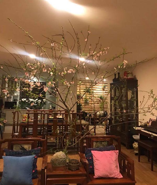 Bất ngờ với những cành đào chỉ 10.000 đồng được chị em cắm sáng tạo mà đẹp lạ