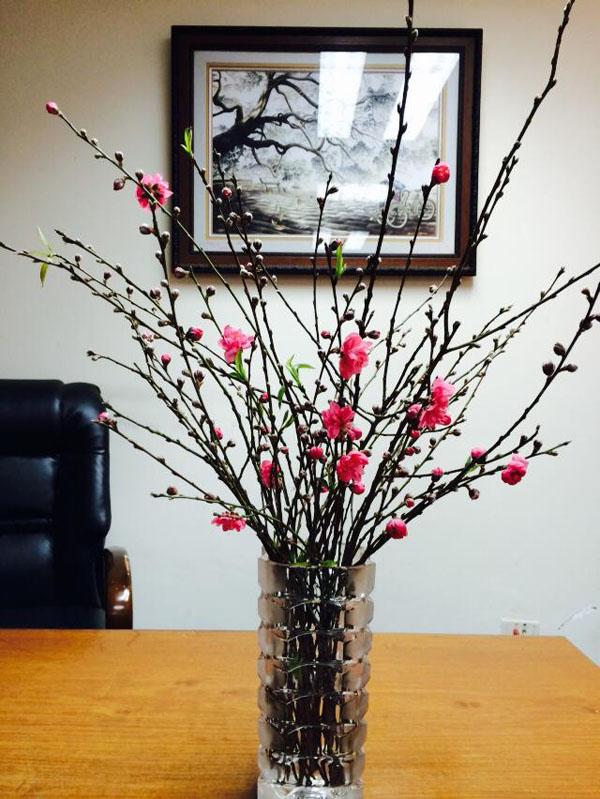 Bất ngờ với những cành đào chỉ 10.000 đồng được chị em cắm sáng tạo mà đẹp lạ