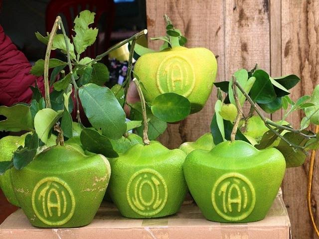 Làm 200 quả bưởi tài lộc, giá 1 triệu/cặp khách vẫn tranh nhau mua