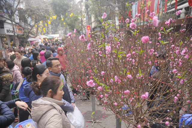 Ảnh: Chợ hoa phố cổ Hà thành ken đặc người ngày giáp Tết