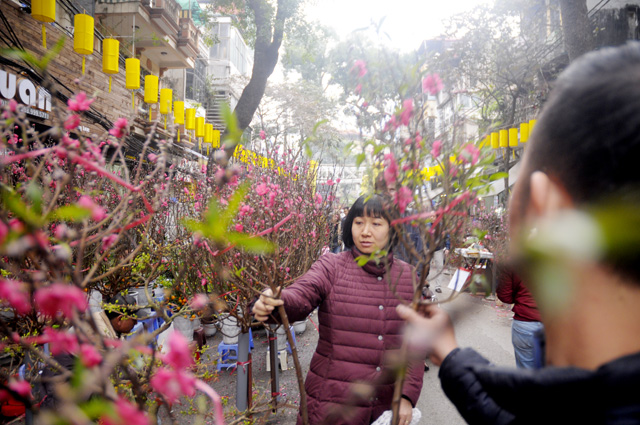 Ảnh: Chợ hoa phố cổ Hà thành ken đặc người ngày giáp Tết