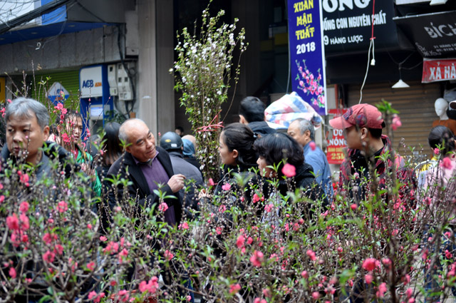 Ảnh: Chợ hoa phố cổ Hà thành ken đặc người ngày giáp Tết