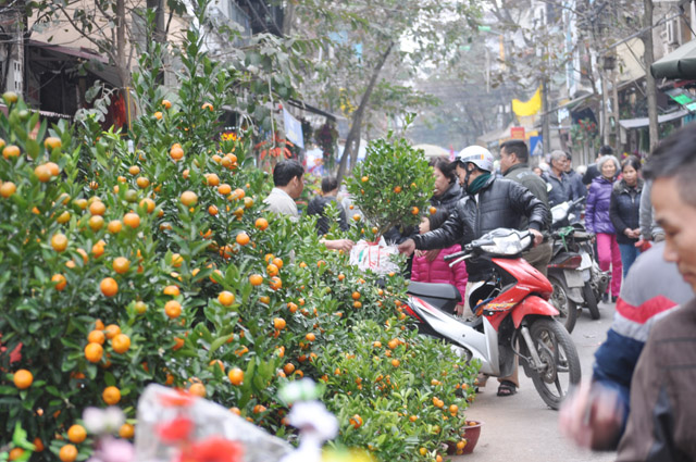 Ảnh: Chợ hoa phố cổ Hà thành ken đặc người ngày giáp Tết