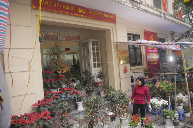 Ảnh: Chợ hoa phố cổ Hà thành ken đặc người ngày giáp Tết