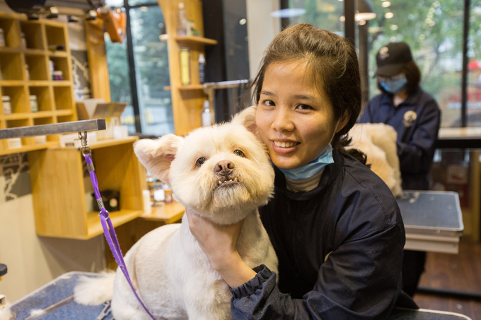 Người Hà Nội chi tiền triệu làm đẹp thú cưng đón Tết