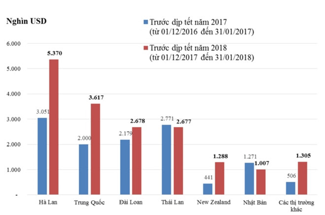 Người Việt chi 18 triệu USD nhập khẩu hoa, cây cảnh chơi Tết Người Việt chi 18 triệu USD nhập khẩu hoa, cây cảnh chơi Tết